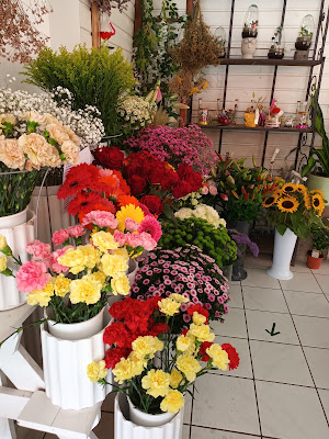 CARREFOUR FLEURI à Le Blanc