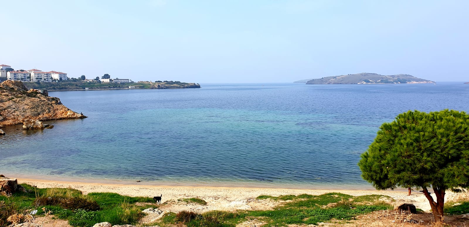 Φωτογραφία του Canak Koyu με μικρός κόλπος