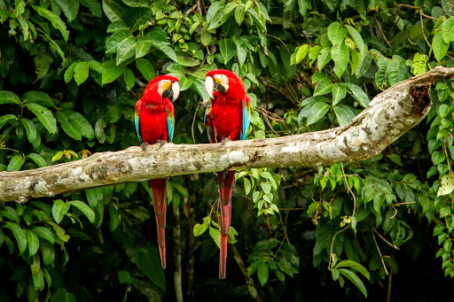 SA Expeditions image