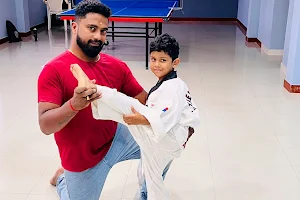 Deepan Taekwondo Academy-DTA image