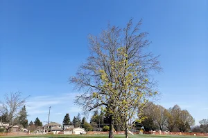 Riverton Heights Park image