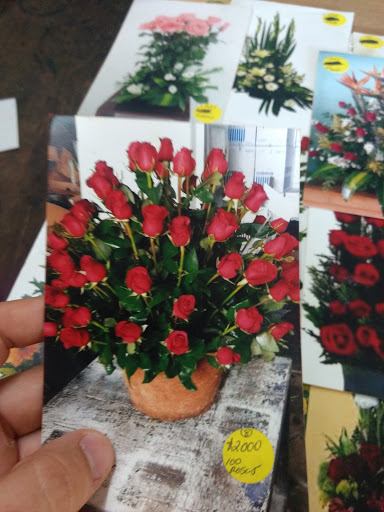 Floranet florería en  en la zona Zona Paseo Montejo, Centro