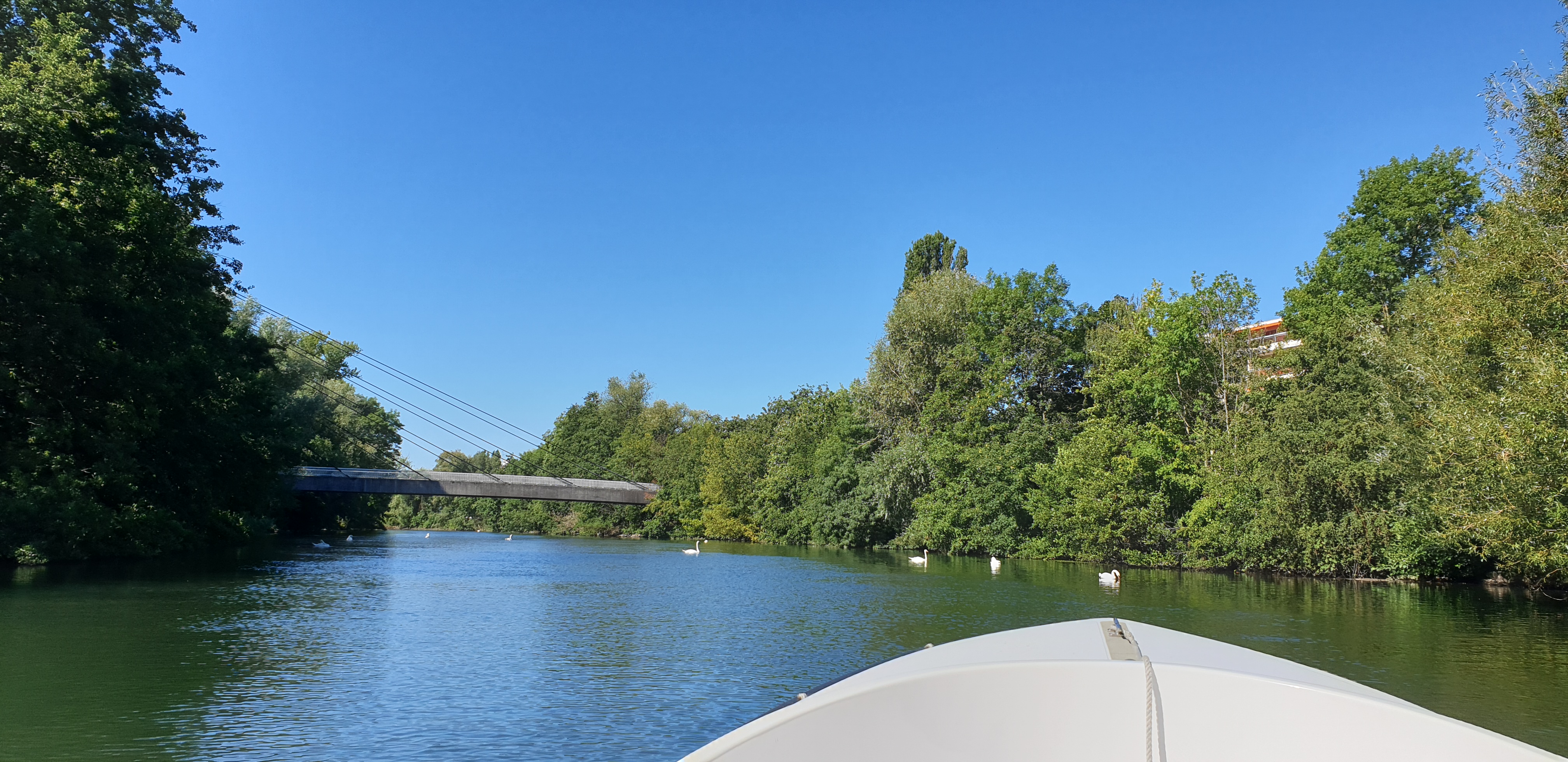 Photo n° 5 de l'avis de ML.e fait le 06/10/2020 à 18:32