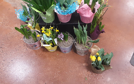 Grocery Store «Kroger», reviews and photos, 525 E Clifty Dr, Madison, IN 47250, USA