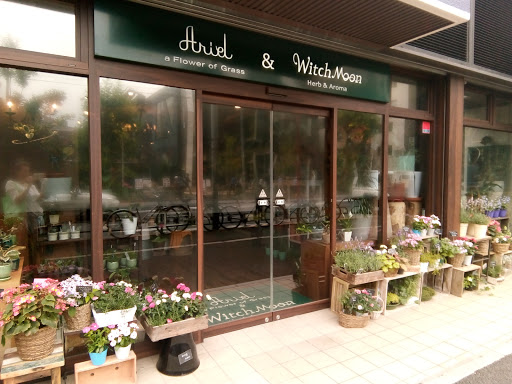 Ariel Flower Shop