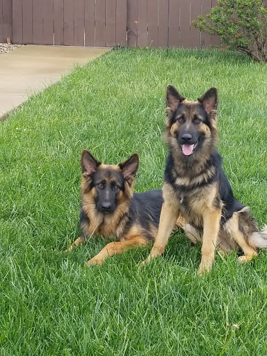 Pet Supply Store «PetSmart», reviews and photos, 3500 IN-38, Lafayette, IN 47905, USA