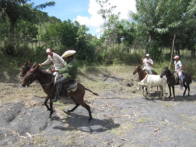 Photos of Cuba Horseback Rides