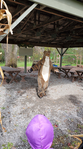 Nature Preserve «Beaver Meadow Audubon Center», reviews and photos, 1610 Welch Rd, Java Center, NY 14082, USA
