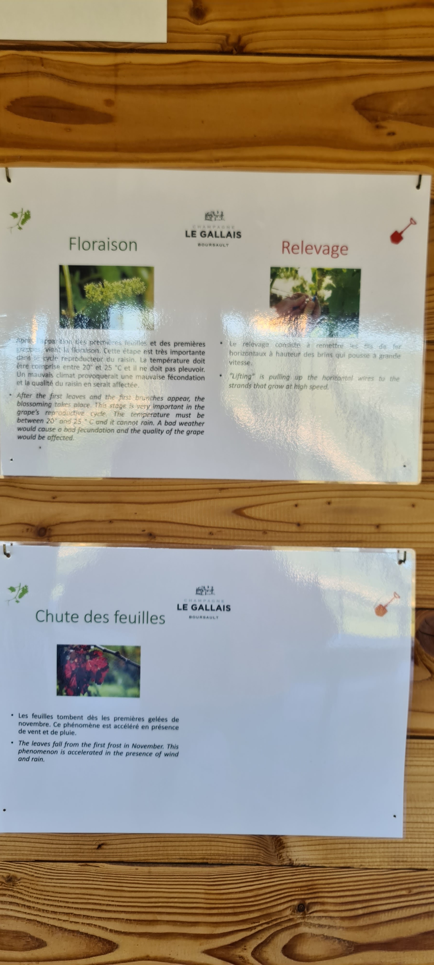 Photo n° 25 de l'avis de V... fait le 04/10/2022 à 16:31