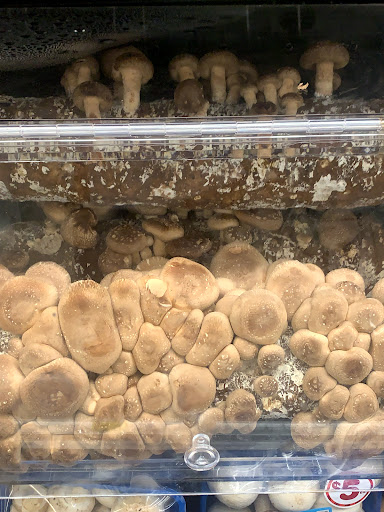 Grocery Store «Vons», reviews and photos, 27320 Alicia Pkwy, Laguna Niguel, CA 92677, USA