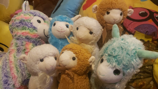 Discount Store «Dollar General», reviews and photos, 601 W Knauer St, Ava, IL 62907, USA