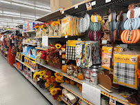 Family Dollar - Photo 9 - Car repair in Greensboro, NC, Greensboro