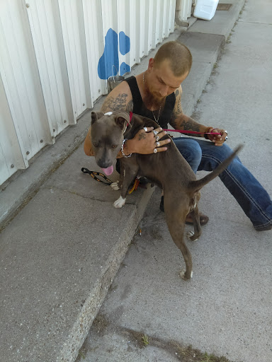 Animal Hospital «Animal Medical Corpus Christi», reviews and photos, 6822 Everhart Rd, Corpus Christi, TX 78413, USA