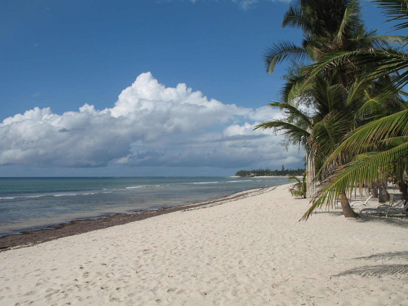 Photo of Tiwi Congo Beach with bright sand surface