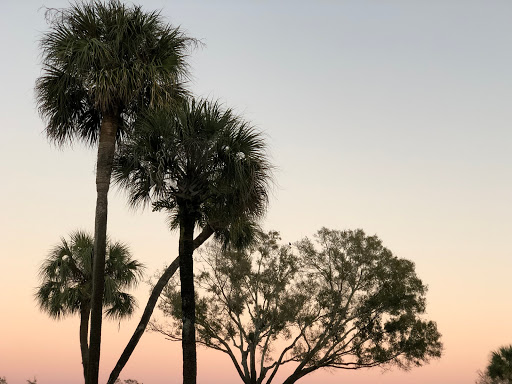 Country Club «Palma Ceia Golf & Country Club», reviews and photos, 1601 S MacDill Ave, Tampa, FL 33629, USA