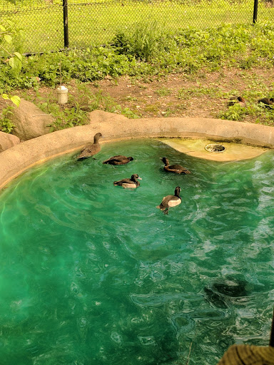 Park «Bever Park», reviews and photos, 2700 Bever Ave SE, Cedar Rapids, IA 52403, USA