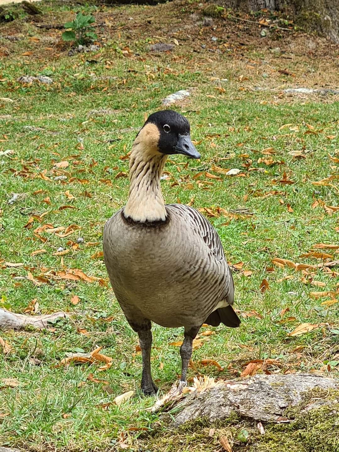 Photo n° 11 de l'avis de Maïté.e fait le 03/08/2022 à 19:24