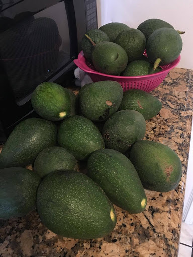 Book Store «Kinokuniya Costa Mesa», reviews and photos, 665 Paularino Ave, Costa Mesa, CA 92626, USA