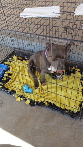 Pet Supply Store «PetSmart», reviews and photos, 573 N McKinley St, Corona, CA 92879, USA