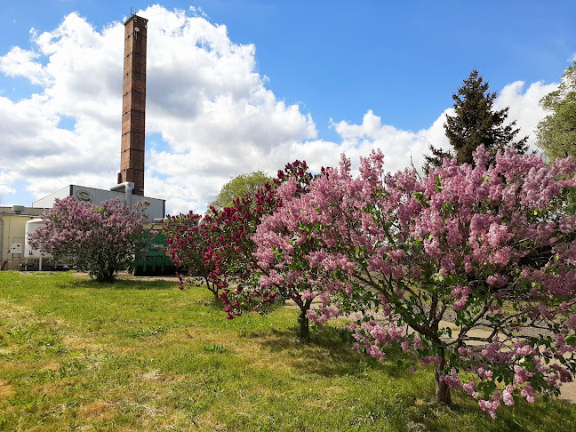 Opinii despre ENERIS Recupyl Sp. z o.o. în Gorzów Wielkopolski - Inny