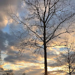 Photo n°1 de l'avis de Eng..b fait le 11/05/2019 à 12:02 sur le  Apart' Hotel à Kehl