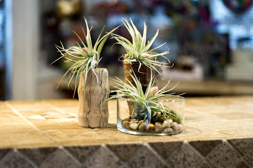 Florist «Athena Flowers», reviews and photos, 6039 W Addison St, Chicago, IL 60634, USA