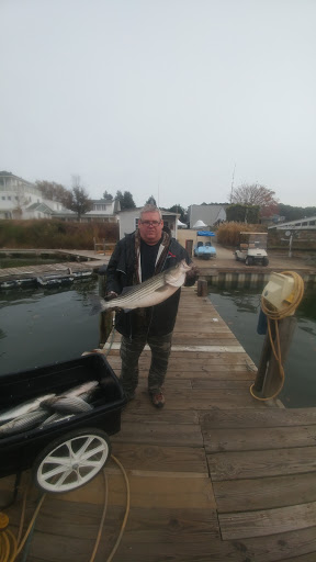 Marina «Smith Point Marina», reviews and photos, 989 Smith Point Rd, Reedville, VA 22539, USA