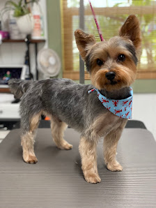 Adorable Paws Dog Grooming Salon 5459 Pine Island Rd NW, Bokeelia, FL 33922, Estados Unidos