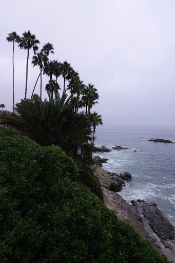 Park «Bluebird Park», reviews and photos, Cress St, Laguna Beach, CA 92651, USA