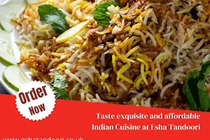 Esha Tandoori image