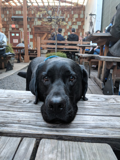 Bar & Grill «Mississippi Studios and Bar Bar», reviews and photos, 3939 N Mississippi Ave, Portland, OR 97227, USA