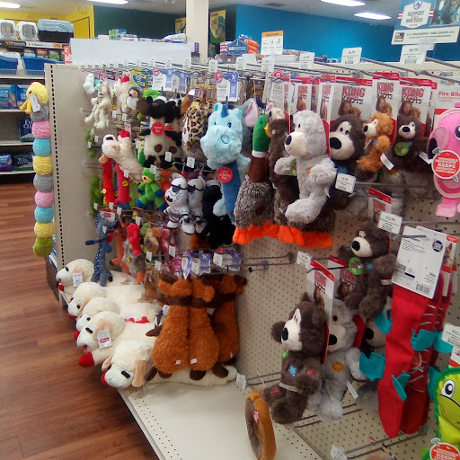 Pet Store «Pet Supermarket, Inc.», reviews and photos, 1938 FL-44 #40, New Smyrna Beach, FL 32168, USA