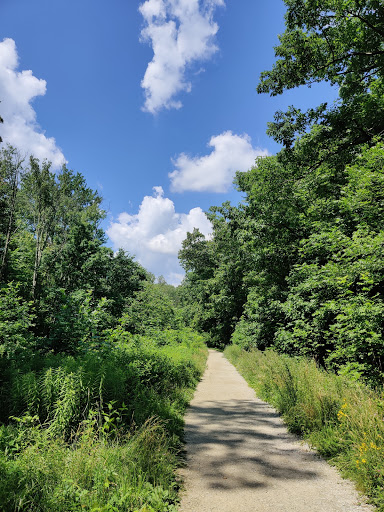 Tourist Attraction «Brandywine Gorge Trail», reviews and photos, 8176 Brandywine Rd, Sagamore Hills, OH 44067, USA