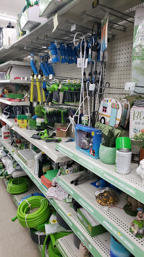 Discount Store «Dollar General», reviews and photos, 3305 Bayshore Rd, North Cape May, NJ 08204, USA