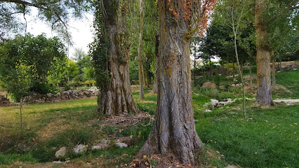 Cascada Park - 09314 Villaescusa de Roa, Burgos, Spain