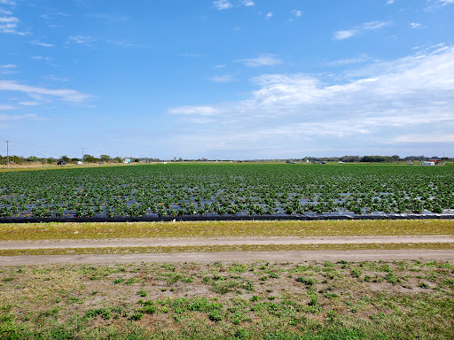 Produce Wholesaler «Goodson Farms Inc.», reviews and photos, 12405 Balm Rd, Balm, FL 33503, USA