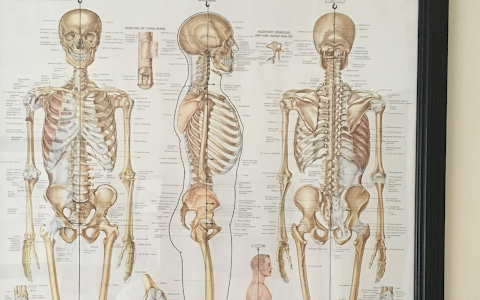 Bexleyheath Osteopathic Practice image