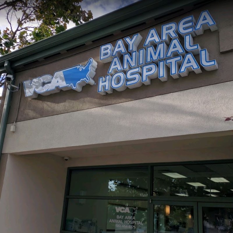 VCA Bay Area Animal Hospital