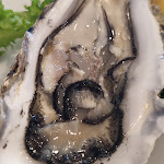 Photo n°4 de l'avis de Ryboolka. fait le 08/08/2023 à 13:36 sur le  Trattoria delle Cozze à Granitola Torretta