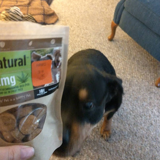 Pet Supply Store «Pet Food Warehouse, Ltd.», reviews and photos, 2455 Shelburne Rd, Shelburne, VT 05482, USA