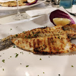 Photo n°1 de l'avis de Davide.a fait le 04/09/2020 à 19:02 sur le  Ristorante Pizzeria Aurora à Riccione