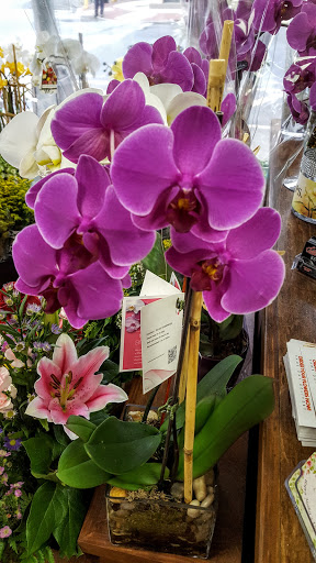 Florist «Flowers in Bloom», reviews and photos, 400 Harrison Ave, Harrison, NJ 07029, USA