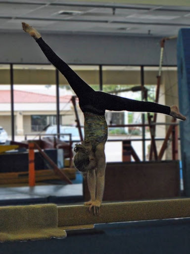 Gymnastics Center «Iarov Elite Gymnastics», reviews and photos, 6859 Arapaho Rd #600, Dallas, TX 75248, USA