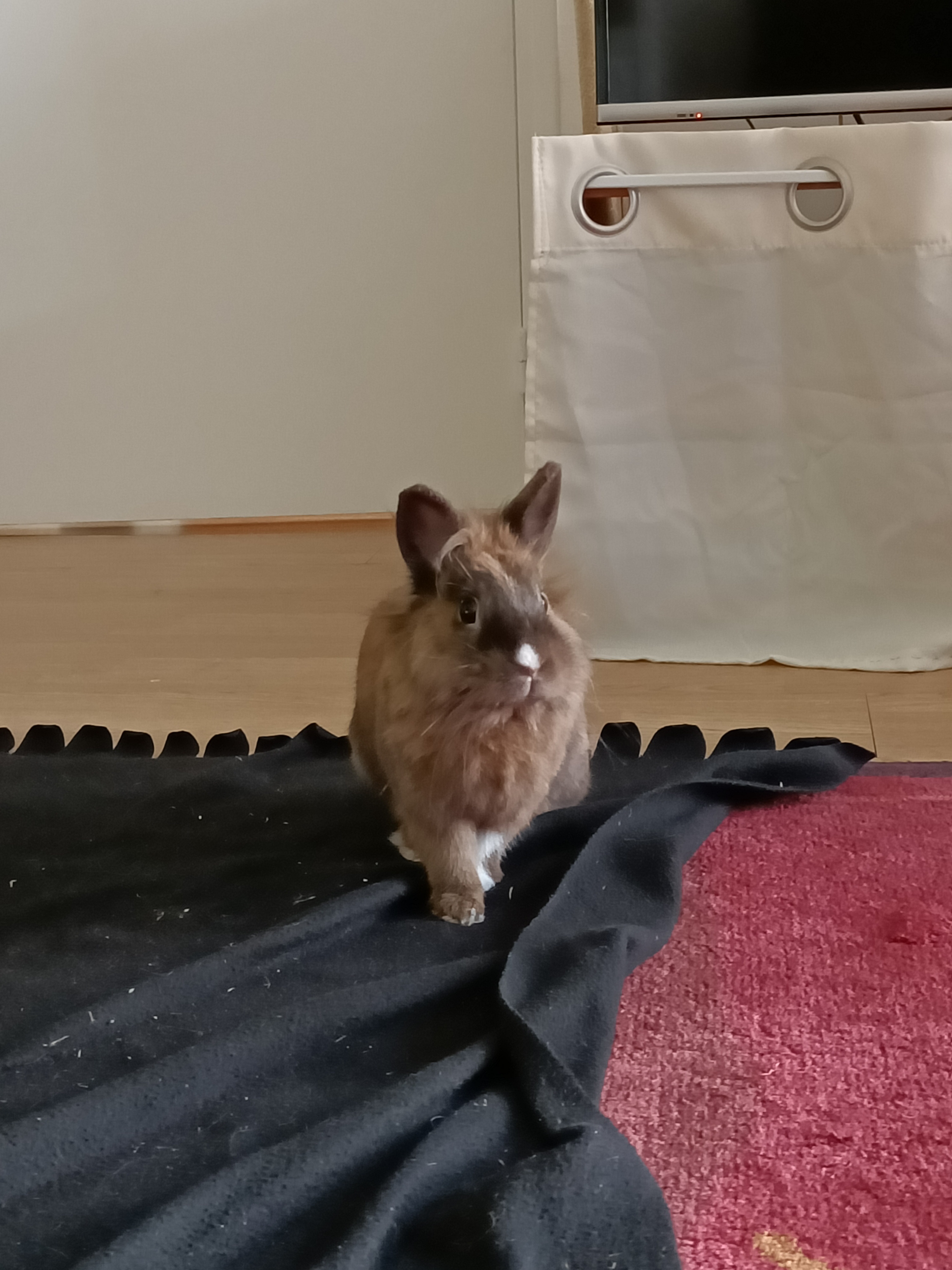 Photo n° 2 de l'avis de Margot.e fait le 26/09/2021 à 16:10