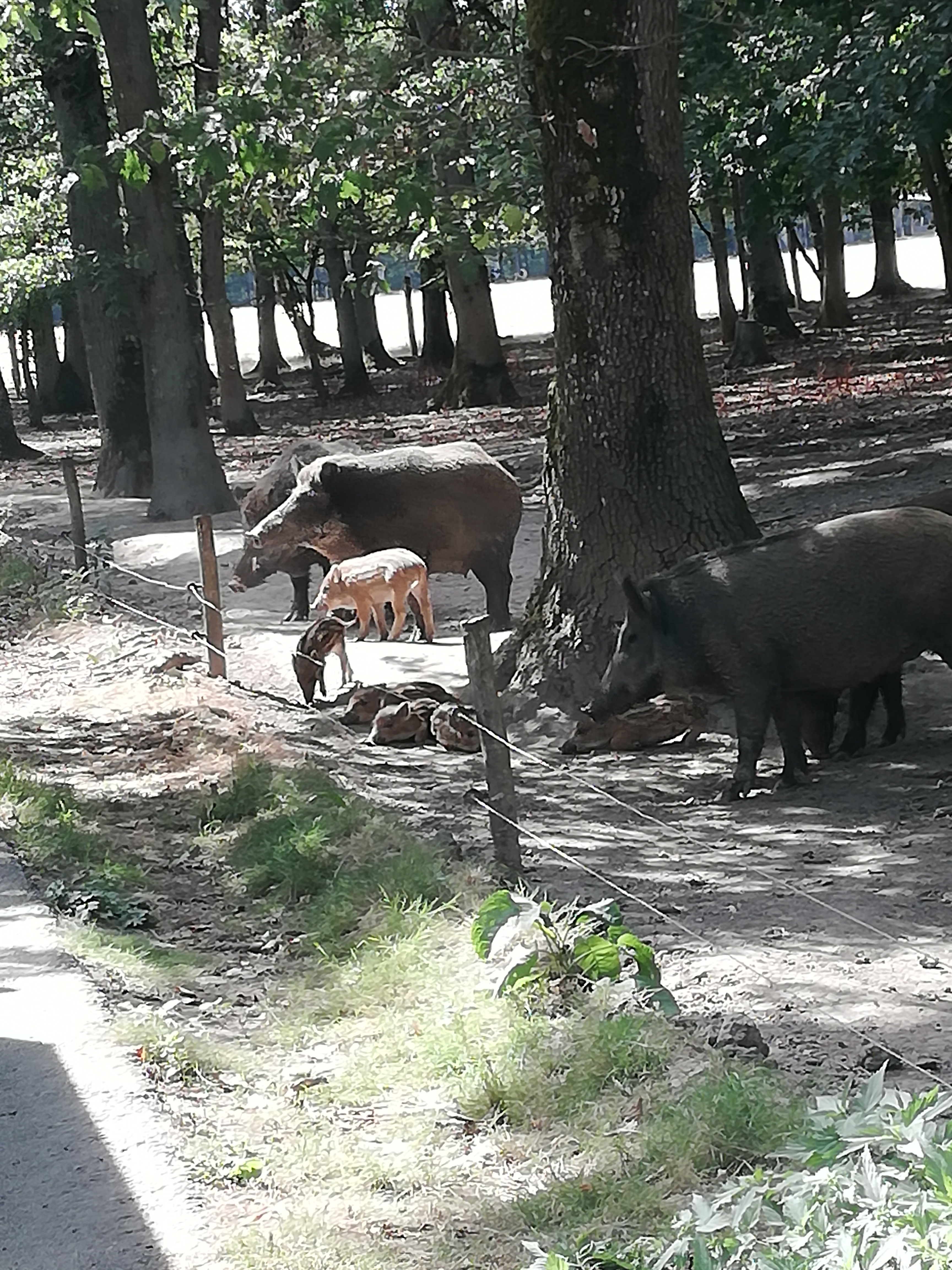 Photo n° 6 de l'avis de Severine.e fait le 23/08/2019 à 23:18