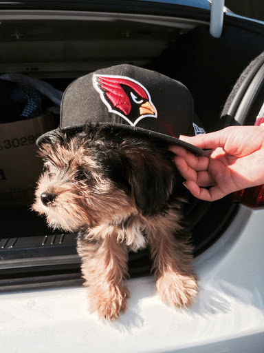 Tobacco Shop «The Tobacco Stop», reviews and photos, 3312 S Bristol St, Santa Ana, CA 92704, USA