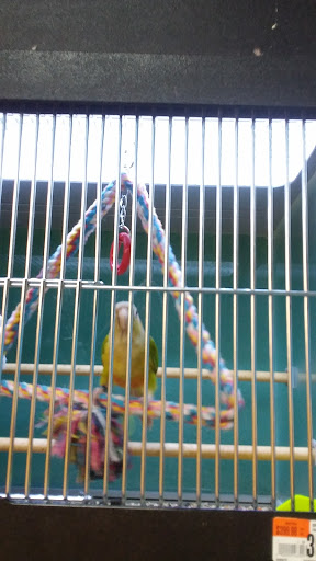 Pet Supply Store «Pet Supplies Plus», reviews and photos, 254 S Illinois Ave, Oak Ridge, TN 37830, USA