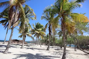 Playa El Cayo image