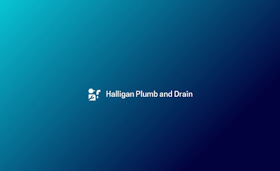 Halligan Plumb and Drain