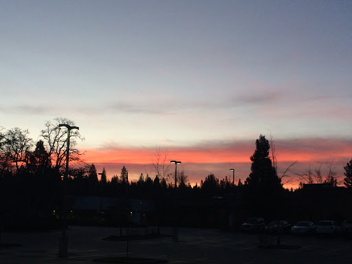 Grocery Store «Grocery Outlet Bargain Market», reviews and photos, 616 Sutton Way, Grass Valley, CA 95945, USA